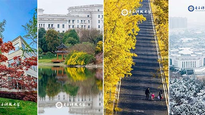 深圳电子元器件退换货政策：理解与执行