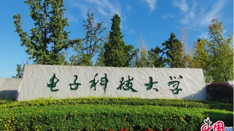 SMT贴片元器件分类标准解析与检验要点
