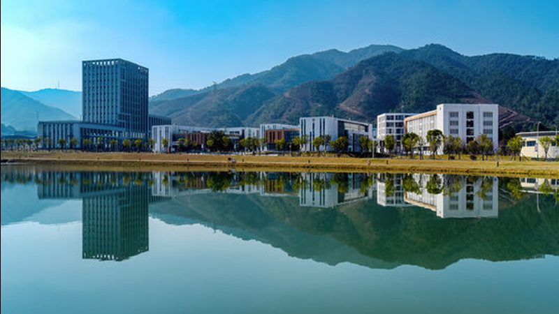 电子模块：性价比背后的考量因素